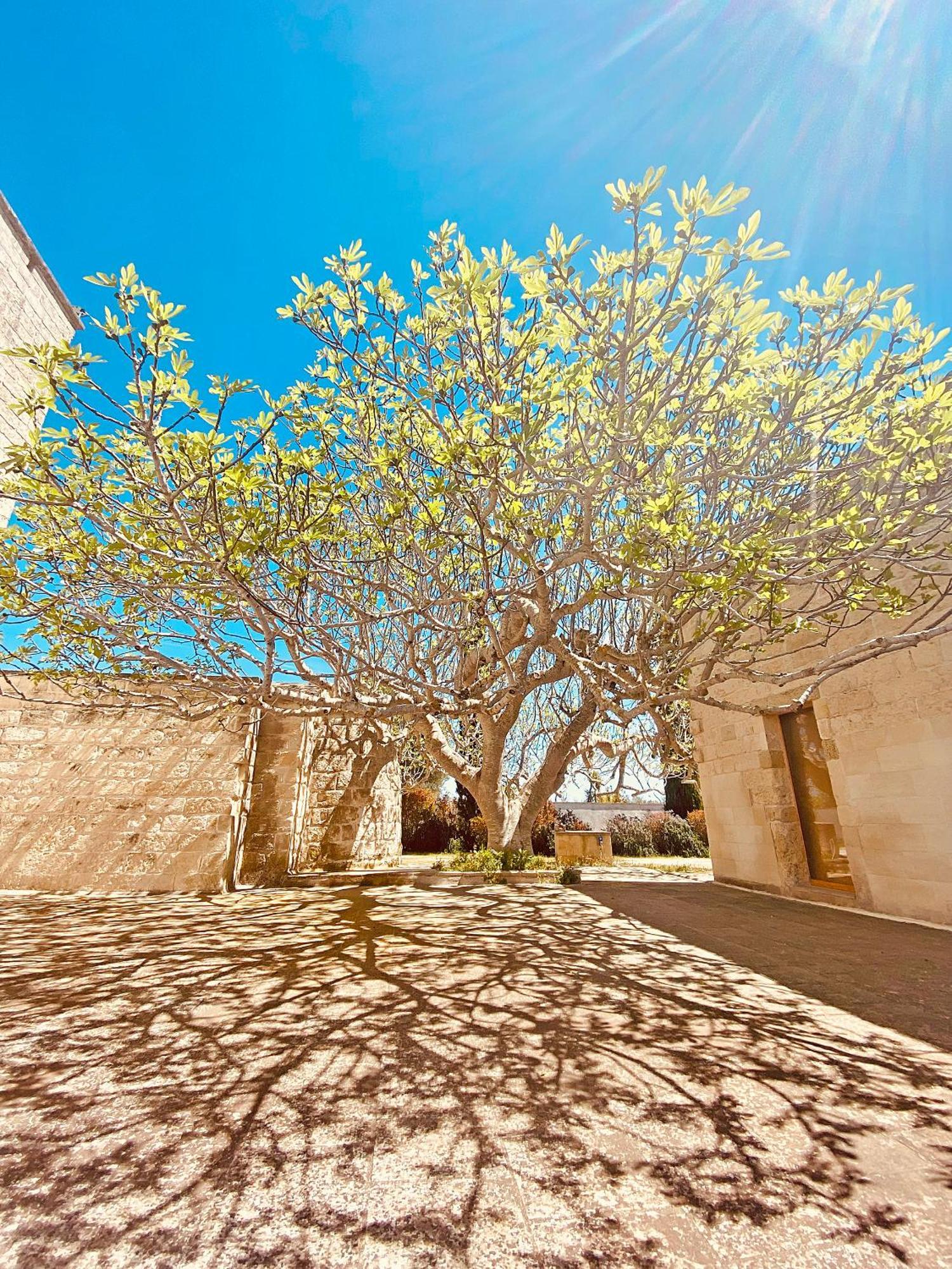 Masseria La Millenaria San Foca Exterior photo